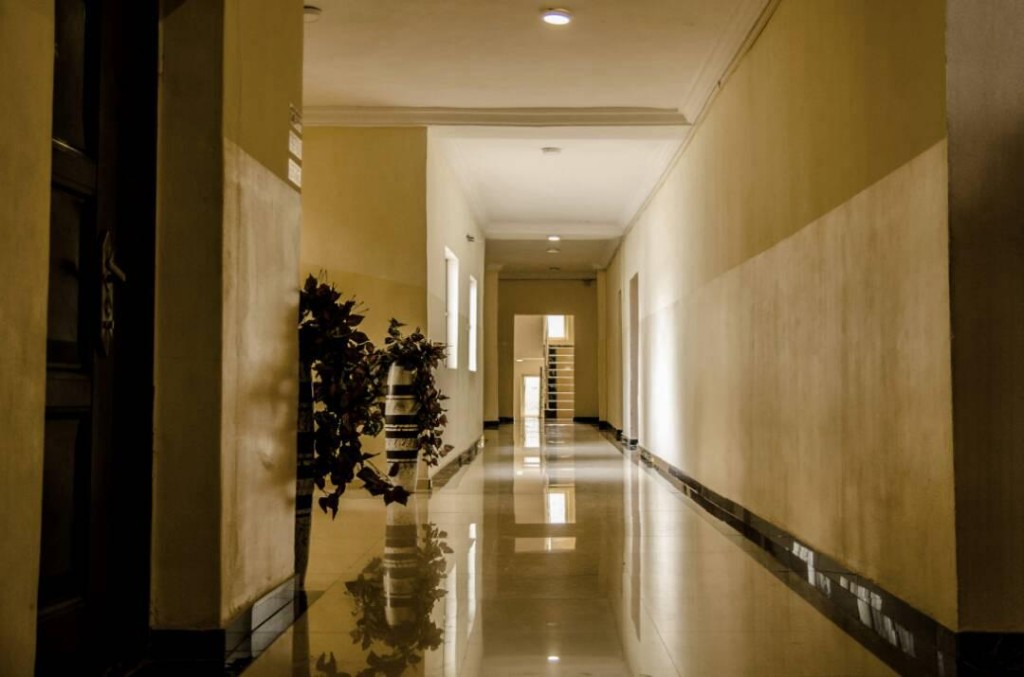 Polished hotel corridor with warm lighting and plants